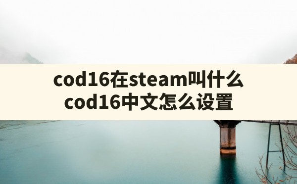 cod16在steam叫什么(cod16中文怎么设置) - 拍哈游戏网